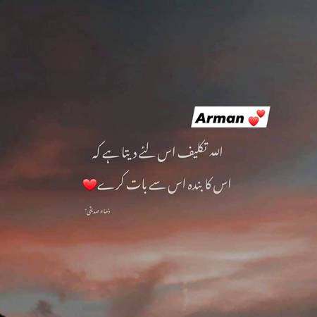 Beshak ☺☺☺☺