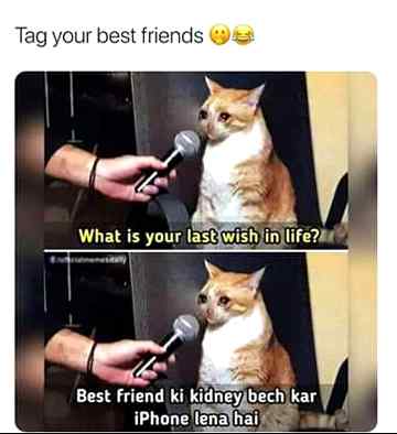 Plz talia iphone laina hai