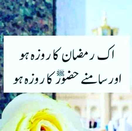 💕💕Ameen suma ameen💕💕