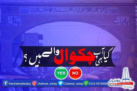 Saab btaao yes no