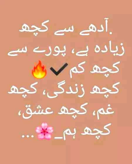 آدھے سے زیادہ ہن