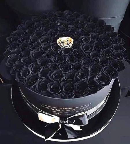 مجھ سے نہ مل سکے گا کسی کا مزاج بھی 

مجھ کو تو اب گلاب بھی کالے پسند ہیں...Zaرliiش