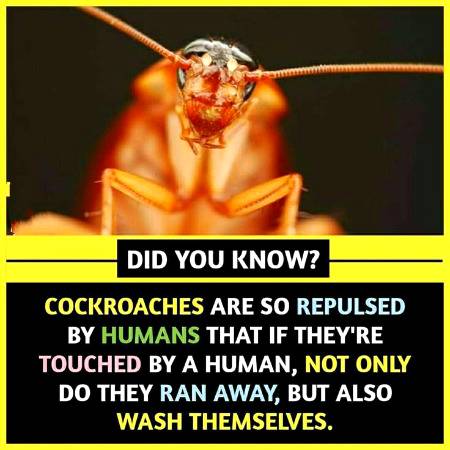 Did you know