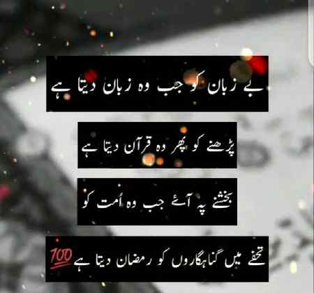 ❤❤❤❤❤❤😊😊😊