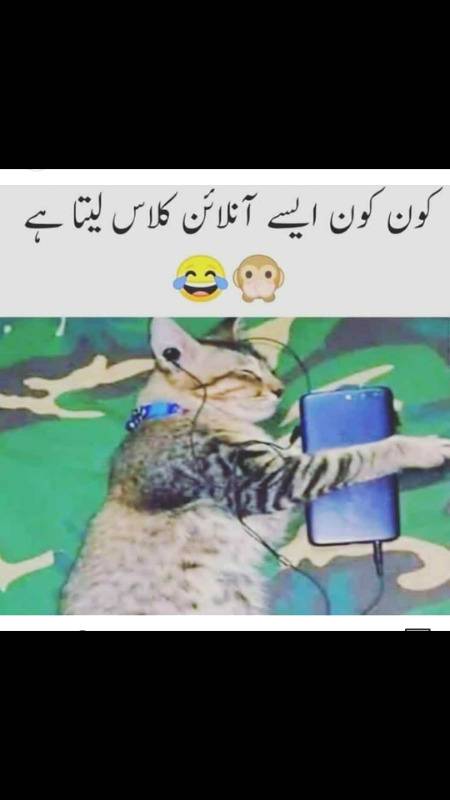 Ya online classes ufff....🙄