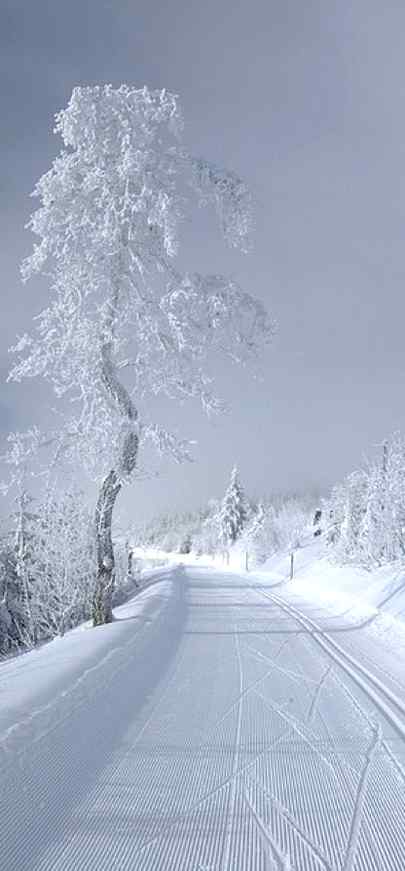 Switzerland in winter
