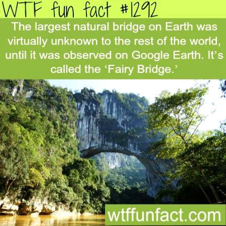 WTF fun fact