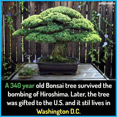 DID YOU KNOW??