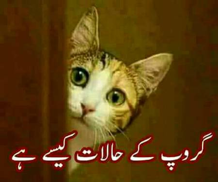 Kese hai sub
