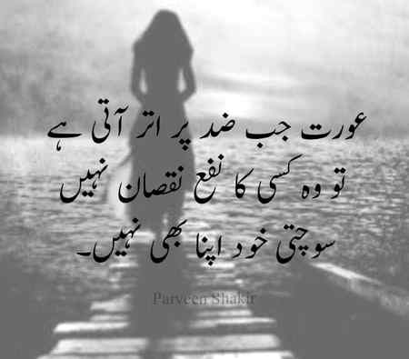hlo friends
