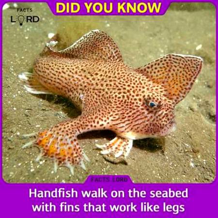 Unbelievable facts 💥💥