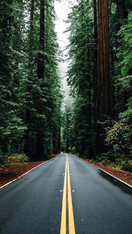 Beautiful road