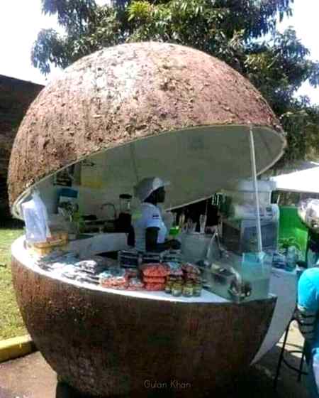 Coconut shaped fast food center