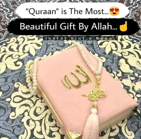 Assalam o Alaikum