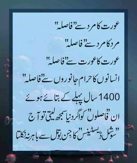 🌹🌹🌹صلی اللہ علی حبیبہ محمد نور من نوراللہ وعلی آلہ واہل بیتہ وعترتہ وازواجہ وصحبہ وجدہ وذریتہ و کل امتہ وبارک وسلم کثیراً کثیرا و دائماً ابدا 🌹🌹🌹
