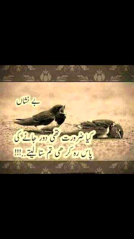 Understand