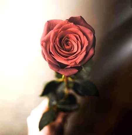 اگر کوئی دل سے اتر جائے تو اسے دوبارہ چڑھنے کا موقع ملنا چاہئے، ہوسکتا ہے بیچارہ پھسل کے گر گیا ہو کیونکہ آجکل دل میں میل رکھنے کا عمل بڑھتا جا رہا ہے..
ڈپریشن میں جینے سے بہتر ہے انا کا بت توڑ کر باہر نکلا جائے کسی سے بات کر لی جائے، کسی کو منا لیا جائے، کسی کے ساتھ مسکرا لیا جائے
خوش رہیں خوشیاں بانٹیں کیونکہ
مر تو اک دن ایسے بھی جانا ہے