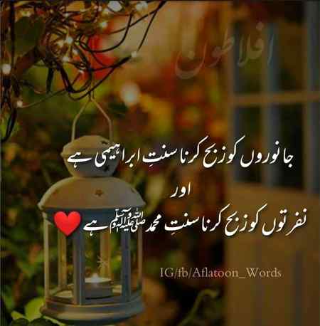 Eid second day mubaMub ☺️☺️☺️