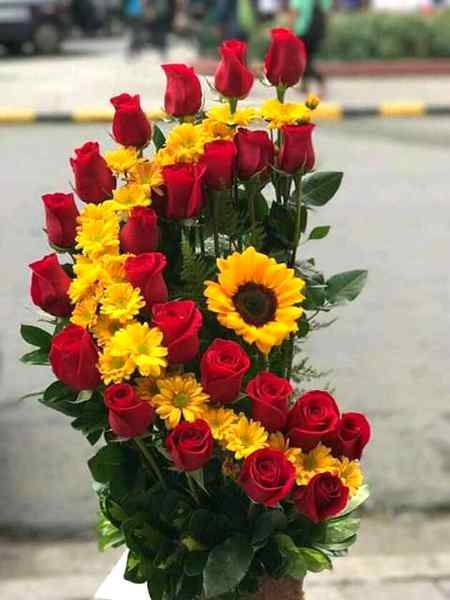Miss you saim 🌼🌹🌼