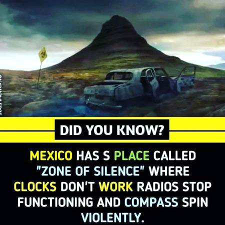 DID YOU KNOW??