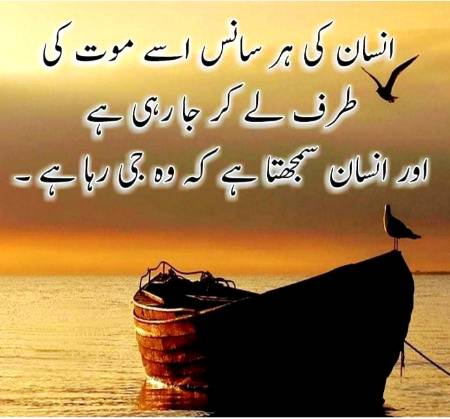 perfect lines❤❤
