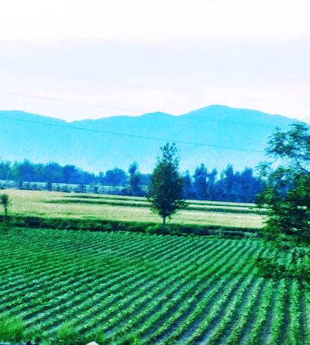 My sweet homey place