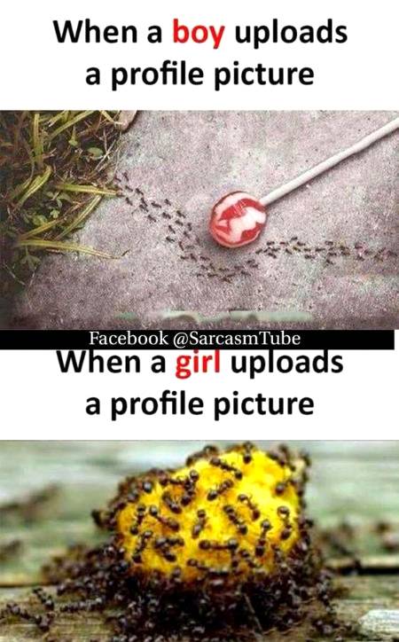 diffrence ..when a boy and a girl Upload Dp