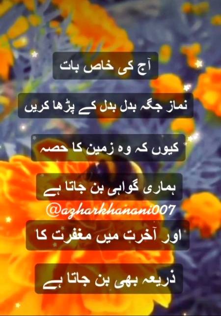 ..🌹🌿🌹🌿🌹🌿🌹🌿🌹..