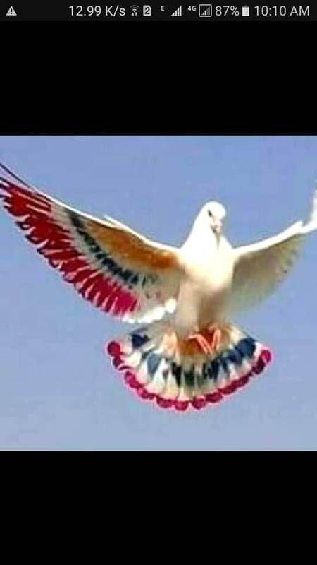 کچھ پانے کی چاہ نہیں۔۔۔،!
کھو نے کو کچھ رہا نہیں۔۔۔!