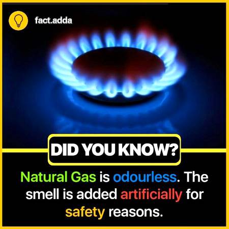 Did you know