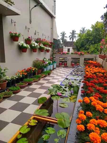 Beautiful terrace garden❤❤