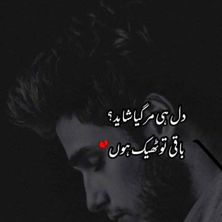 Zaki Ansari💔