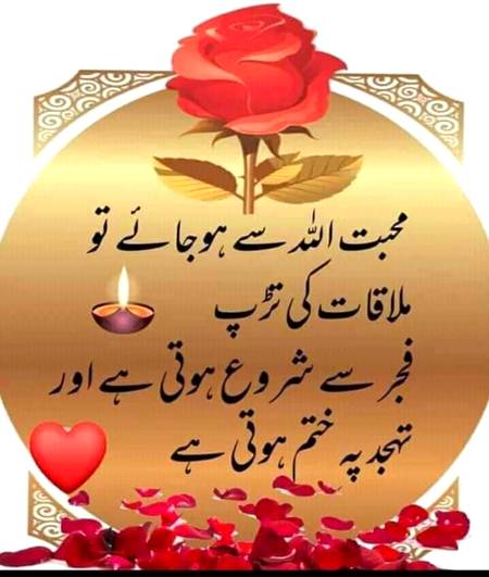 جیسے پھولوں سے عرق کشید کر کے خوشبو بنانی پڑتی ہے ویسے ہی خوشی اور سکون اپنے اندر سے نکالنا پڑتا ہے اگر خوشی آپ کے اندر نہیں ہے تو ساری دنیا کاچکر لگا کر آجائیں آپ کو نہیں ملے گی، خوشی باہر نہیں اندر ہوتی ہے۔
*جب ہم اپنے ساتھ رہنا سیکھ لیتے ہیں تو*
*حقیقی معنوں میں زندگی خوبصورت اور پرلطف ہوجاتی ہے*