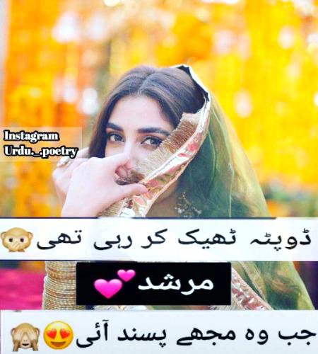 Shah Jee.....😘😍😘😍😘😍😘😍😘