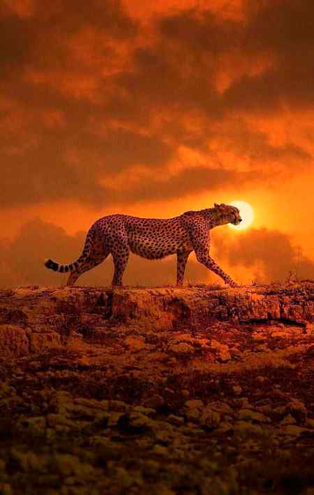 Nice one Edited pic 🔥🔥