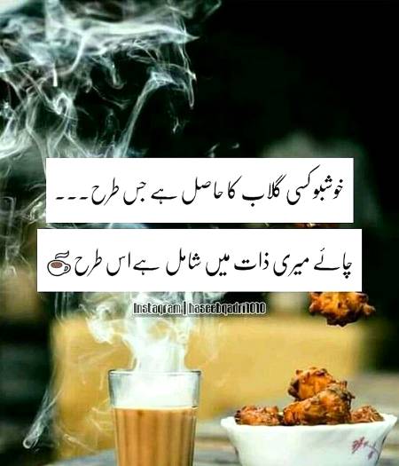 خوشبو کسی گلاب کا حاصل ہے جس طرح