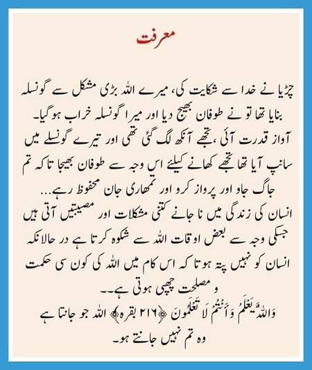 🌹🌹🌹صلی اللہ علی حبیبہ محمد نور من نوراللہ وعلی آلہ واہل بیتہ وعترتہ وازواجہ وصحبہ وجدہ وذریتہ و کل امتہ وبارک وسلم کثیراً کثیرا و دائماً ابدا 🌹🌹🌹