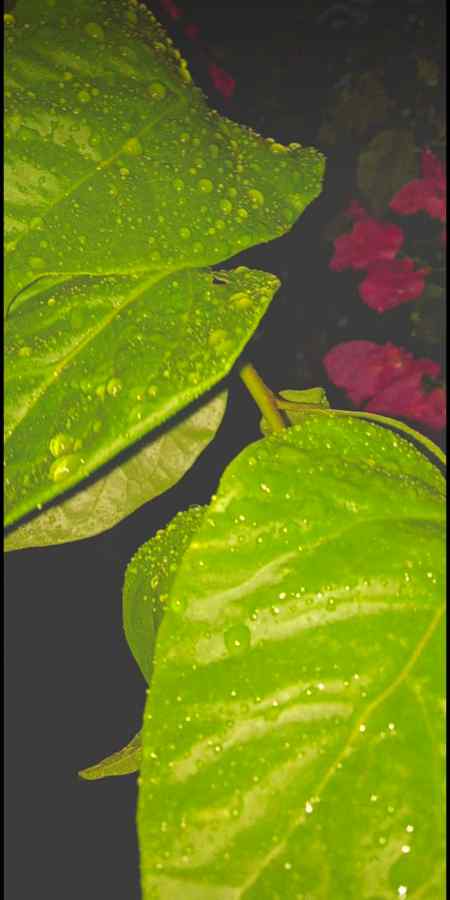 Rainy night 😍😋