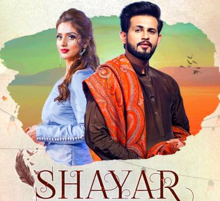 Aseen phikke phikke je tun mitha mitha hain ,aseen thore sanwle tun chitta chitta hain🌚❤️ tere yad vich likh likh ke aseen shayar hogye haan.a3.n3