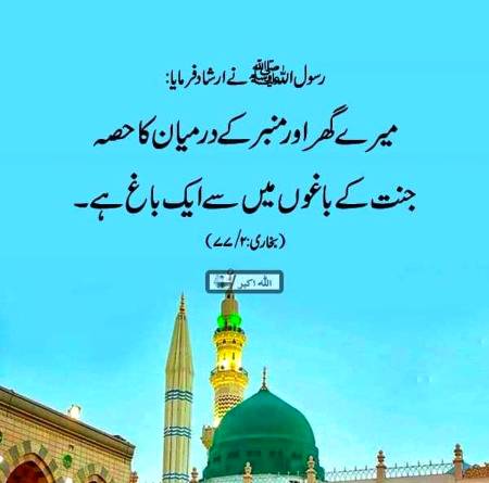 🌹🌹🌹صلی اللہ علی حبیبہ محمد نور من نوراللہ وعلی آلہ واہل بیتہ وعترتہ وازواجہ وصحبہ وجدہ وذریتہ و کل امتہ وبارک وسلم کثیراً کثیرا و دائماً ابدا 🌹🌹🌹