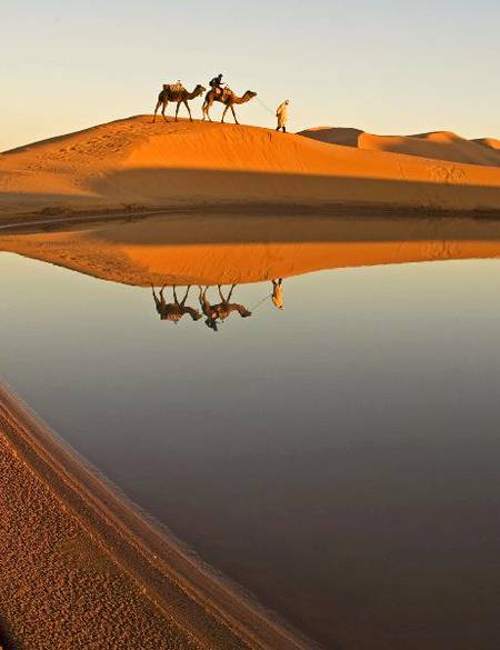 Sahara Africa photography 🔥🔥