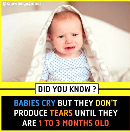 Did you know ?