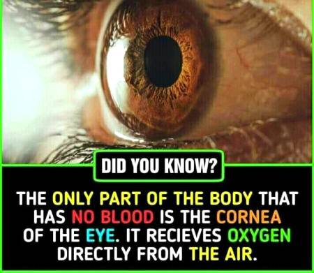 Did you know?.. Important knowledge