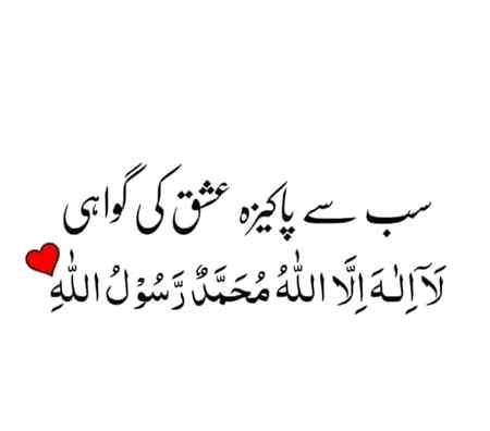 Beshak😍😍