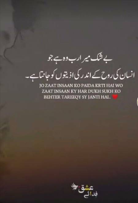 Beshak 💯💯💯