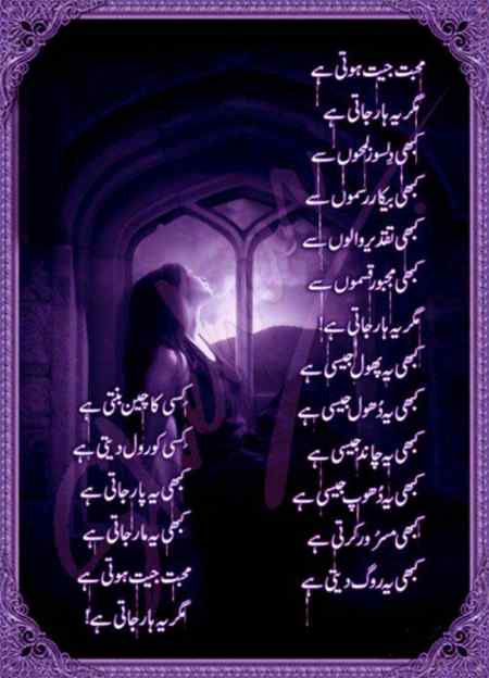 🌹❤🌹❤🌹❤🌹❤🌹❤❤🌹❤🌹❤🌹