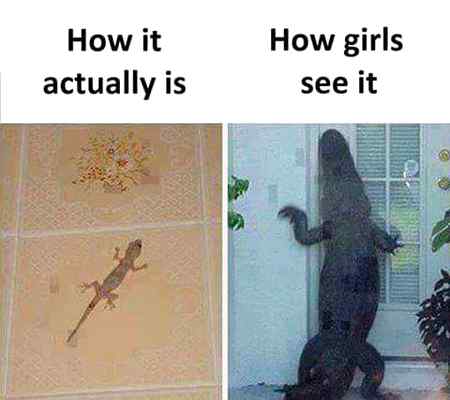 Mujha tu aisa nhi lagta😑😕😏😏