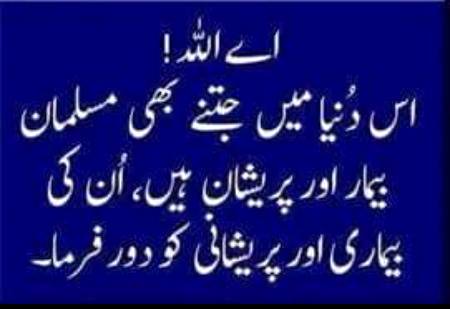 🌹🌹🌹صلی اللہ علی حبیبہ محمد نور من نوراللہ وعلی آلہ واہل بیتہ وعترتہ وازواجہ وصحبہ وجدہ وذریتہ و کل امتہ وبارک وسلم کثیراً کثیرا و دائماً ابدا 🌹🌹🌹