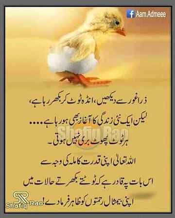 😍😍😍SubhanALLAH😍😍😍
Anum malik😇