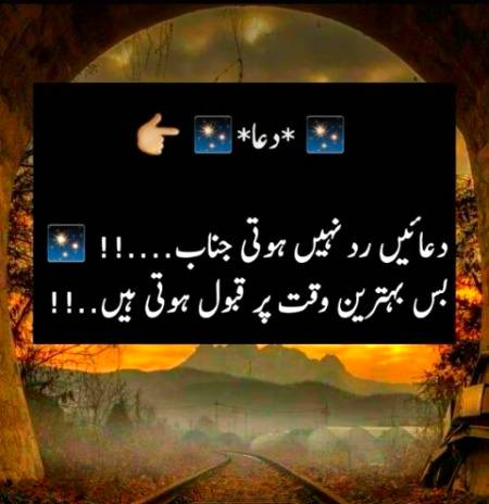 ༄༅༅༅✥༅༅✥✥༅༅✥༅༅༅༄